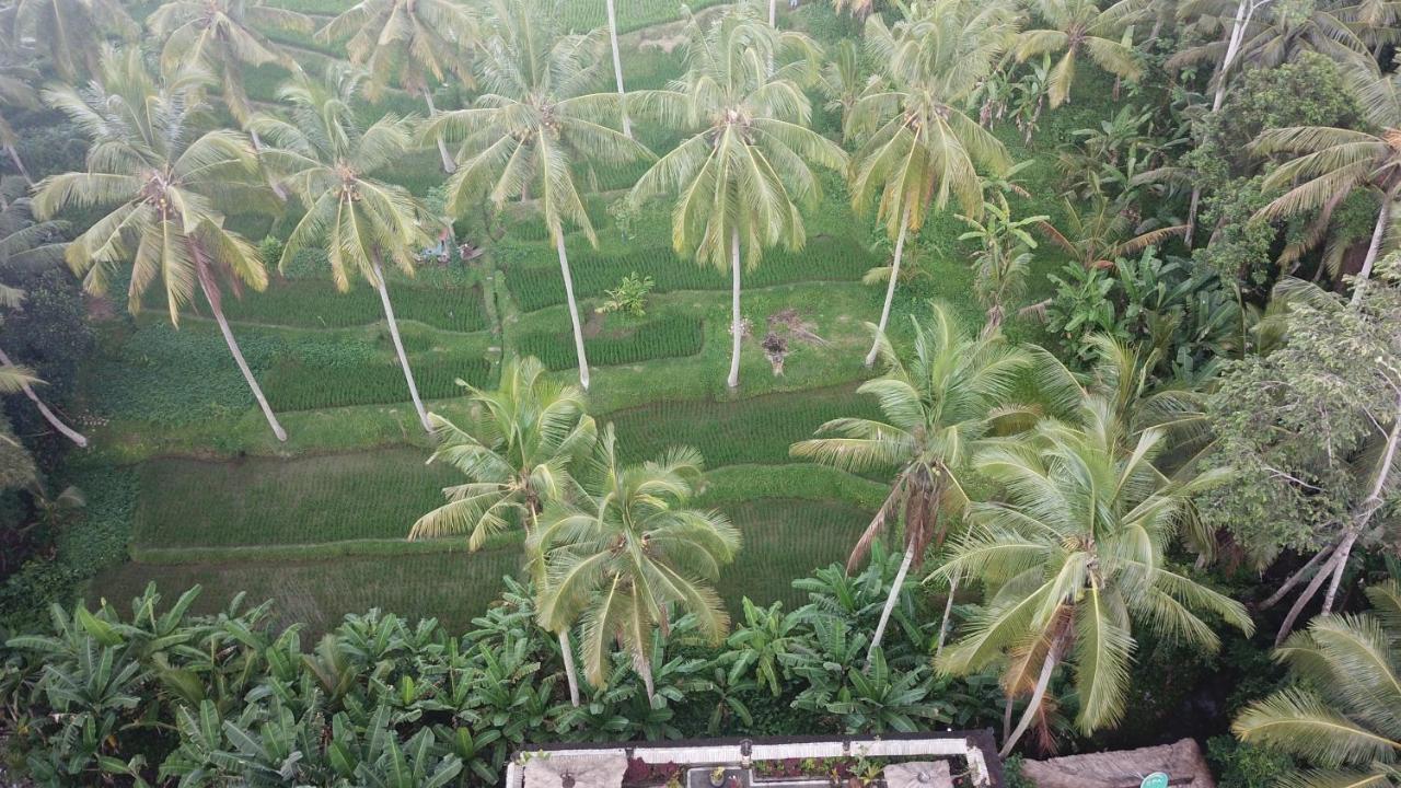 Junjungan Suite Ubud Esterno foto
